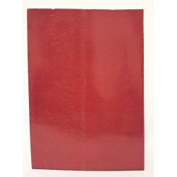 Alma mater librorum. Nove secoli di editoria bolognese per l'università 2