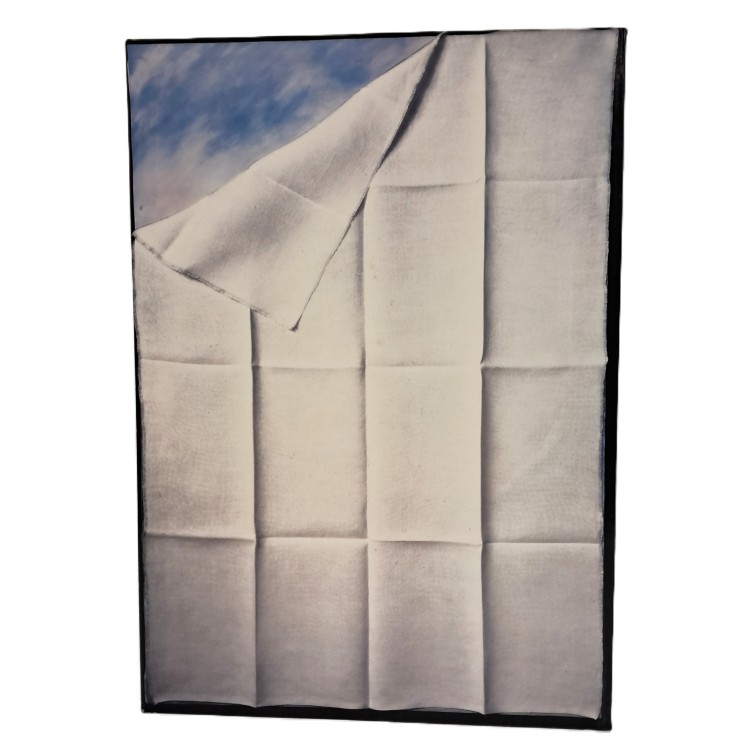 Arte italiana. Presenze 1900-1945