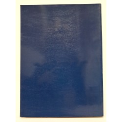 Cento capolavori dall'Istituto Nazionale per la Grafica. Disegni dal '500 all'800 2