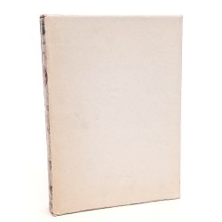 Il giornale di bordo di Cristoforo Colombo 2