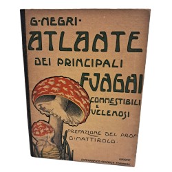 Atlante dei principali funghi commestibili e velenosi