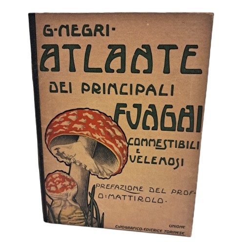 Atlante dei principali funghi commestibili e velenosi