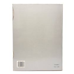 Splendori di pietre dure. L'arte di corte nella Firenze dei Granduchi 2