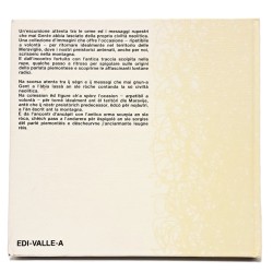 Scrissero nella montagna. Per i sentieri del Bego alla ricerca di preistorici messaggi 2