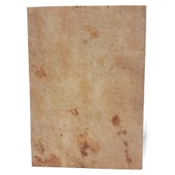 Il romanzo arturiano di Rustichello da Pisa 2