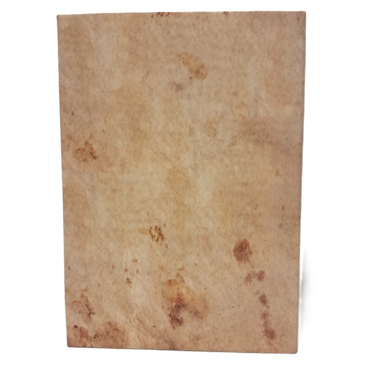 Il romanzo arturiano di Rustichello da Pisa