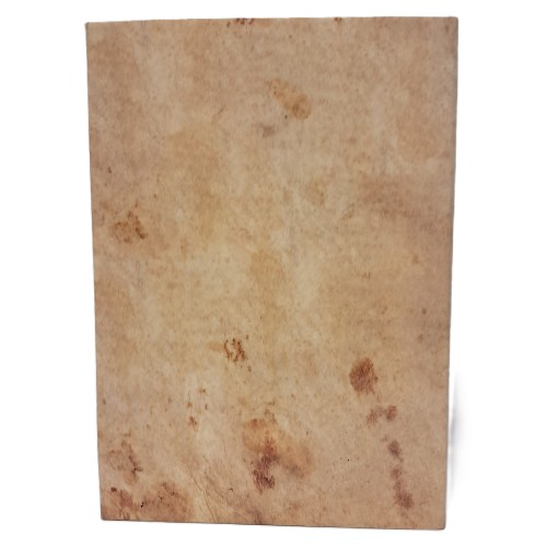 Il romanzo arturiano di Rustichello da Pisa